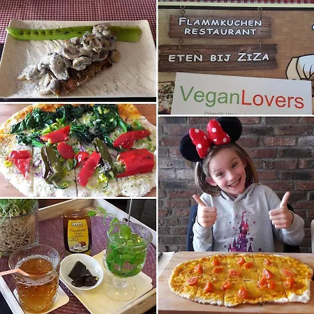 호텔 Ziza